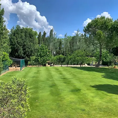 Ponpon - Les Petites Ecuries * Marseillette